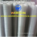 1" x 2" hot dipped Galvanized Welded Wire Mesh | werson